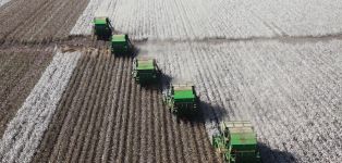 Mango acelera en sostenibilidad y se vuelca en producto y trazabilidad