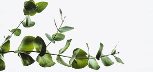 Shaking Sustainability: transparencia, tecnolog&iacute;a y &lsquo;greenwashing&rsquo;, los retos del desarrollo sostenible