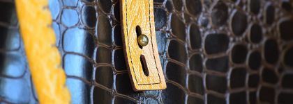 LVMH invierte en curtidur&iacute;a y entra en el capital de Heng Long Italia y de Robans