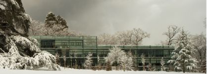 Richemont eleva sus ventas un 24%, pero entra en p&eacute;rdidas en el primer semestre