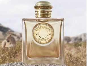 Coty aumenta su previsi&oacute;n de ventas por el tir&oacute;n de sus marcas de lujo