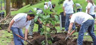 ‘Buy one, give one’: responsabilidad social corportaiva en cada venta