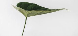 La moda ‘eco’, en alerta: la industria frena su avance en sostenibilidad