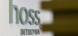 Intropia entra en los juzgados tras fracasar en la b&uacute;squeda de un socio