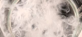 ShareTex: la ‘next gen’ que planta cara a Altri con reciclaje textil en As Pontes