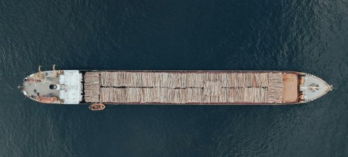 M&aacute;s all&aacute; de las emisiones, &iquest;qu&eacute; dicen los cinco gigantes de la moda sobre biodiversidad?