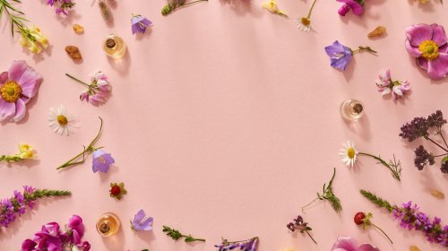 El Mapa de la Moda 2025: Los diez l&iacute;deres de la perfumer&iacute;a