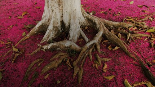 Si nada de lo que hace Patagonia es sostenible, &iquest;qu&eacute; lo es?