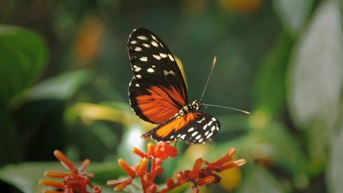 La metamorfosis de la industria textil: innovaci&oacute;n y responsabilidad social