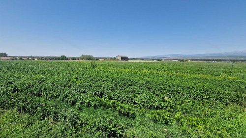 &Iacute;ndigo en Extremadura: Tintoremus o c&oacute;mo oxigenar una marca para convertirla en ingrediente