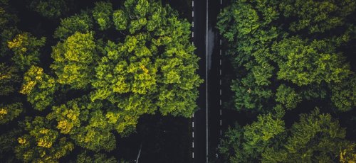 Claves de un perfil de liderazgo sostenible