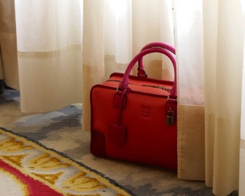 Amazona &lsquo;freestyle&rsquo;