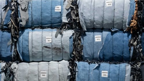 Circulose capta a otro gigante: alianza con C&A para lanzar una colecci&oacute;n