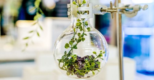 L’Oréal crea piel en 3D