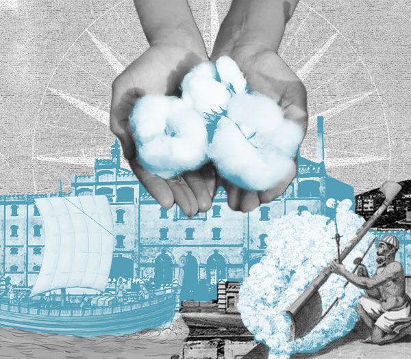 Viaje al origen del algodón 